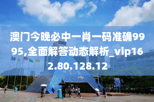 澳门今晚必中一肖一码准确9995,全面解答动态解析_vip162.80.128.12