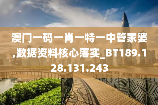 澳门一码一肖一特一中管家婆,数据资料核心落实_BT189.128.131.243