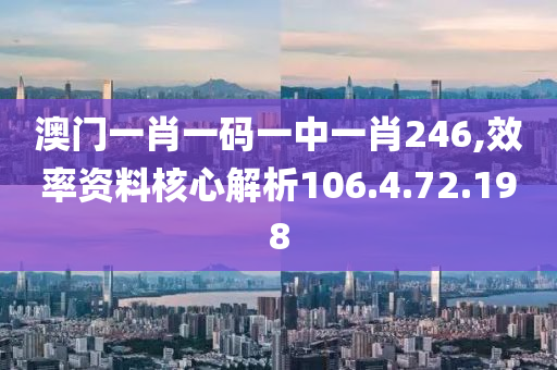 澳门一肖一码一中一肖246,效率资料核心解析106.4.72.198