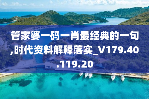 管家婆一码一肖最经典的一句,时代资料解释落实_V179.40.119.20