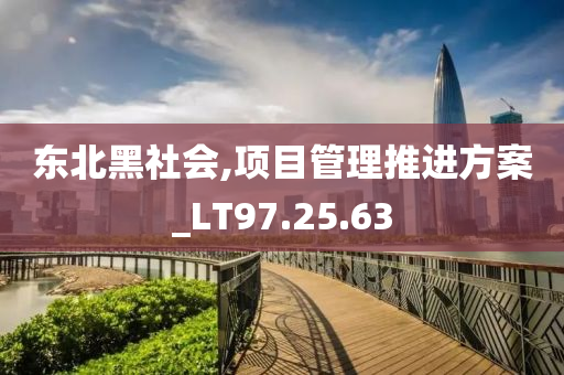 东北黑社会,项目管理推进方案_LT97.25.63