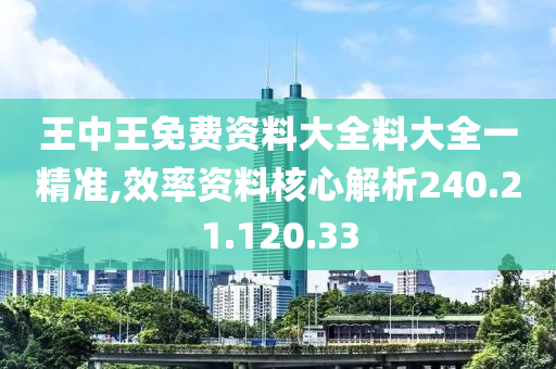 王中王免费资料大全料大全一精准,效率资料核心解析240.21.120.33