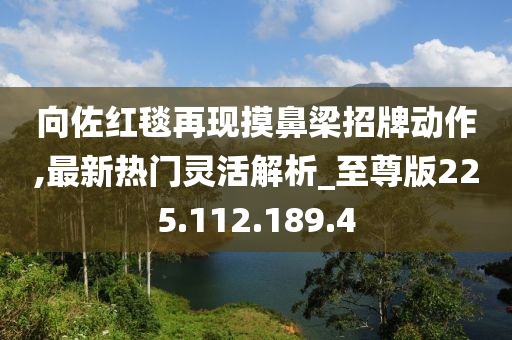 向佐红毯再现摸鼻梁招牌动作,最新热门灵活解析_至尊版225.112.189.4