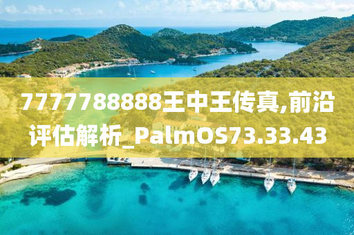 7777788888王中王传真,前沿评估解析_PalmOS73.33.43