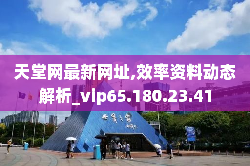 天堂网最新网址,效率资料动态解析_vip65.180.23.41