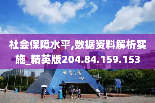 社会保障水平,数据资料解析实施_精英版204.84.159.153