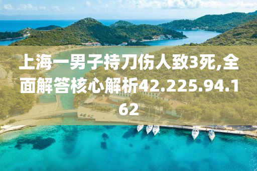 上海一男子持刀伤人致3死,全面解答核心解析42.225.94.162