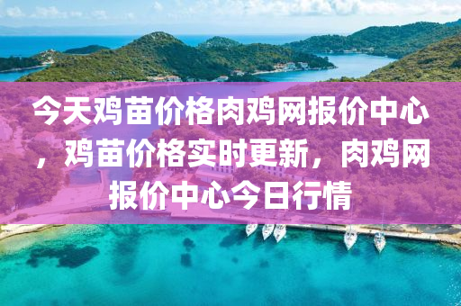 今天鸡苗价格肉鸡网报价中心，鸡苗价格实时更新，肉鸡网报价中心今日行情