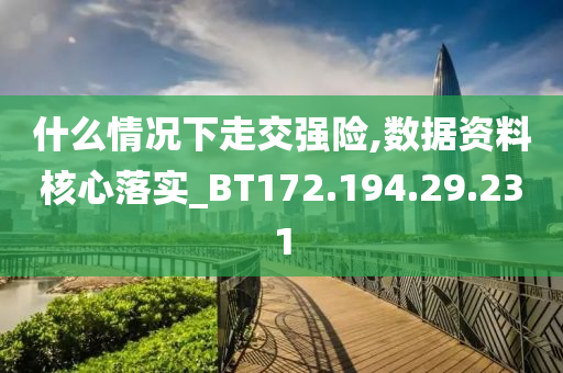 什么情况下走交强险,数据资料核心落实_BT172.194.29.231