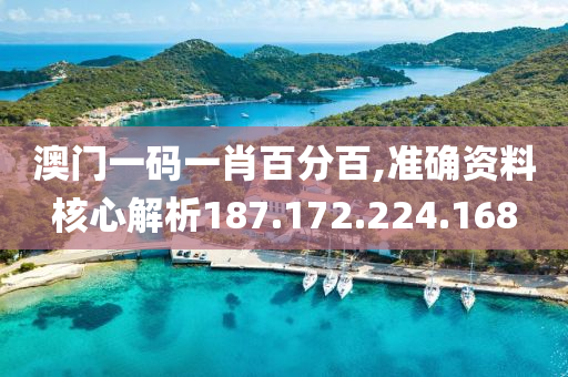 澳门一码一肖百分百,准确资料核心解析187.172.224.168