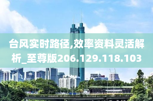 台风实时路径,效率资料灵活解析_至尊版206.129.118.103