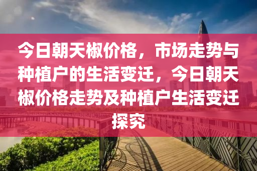 今日朝天椒价格，市场走势与种植户的生活变迁，今日朝天椒价格走势及种植户生活变迁探究