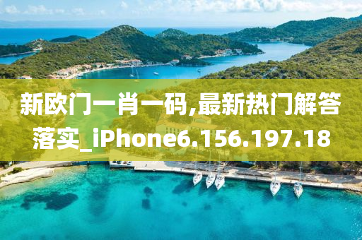 新欧门一肖一码,最新热门解答落实_iPhone6.156.197.18