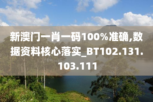 新澳门一肖一码100%准确,数据资料核心落实_BT102.131.103.111