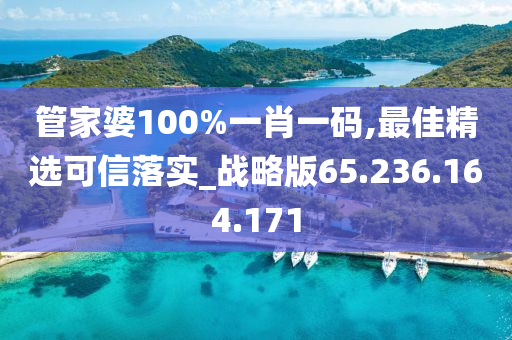 管家婆100%一肖一码,最佳精选可信落实_战略版65.236.164.171