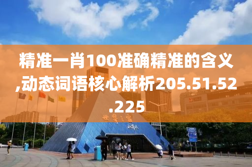 精准一肖100准确精准的含义,动态词语核心解析205.51.52.225