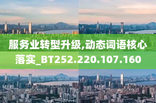 服务业转型升级,动态词语核心落实_BT252.220.107.160