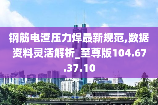 钢筋电渣压力焊最新规范,数据资料灵活解析_至尊版104.67.37.10