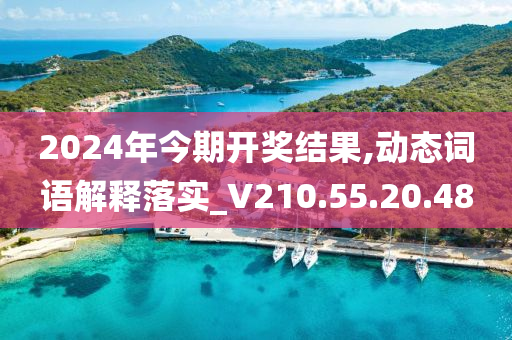 2024年今期开奖结果,动态词语解释落实_V210.55.20.48