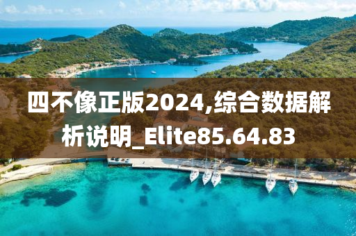 四不像正版2024,综合数据解析说明_Elite85.64.83