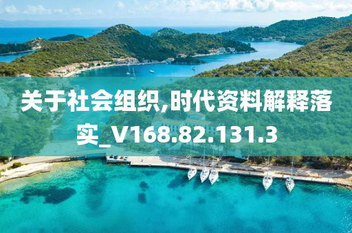 关于社会组织,时代资料解释落实_V168.82.131.3