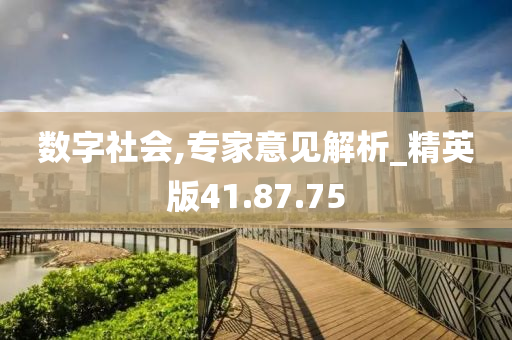 数字社会,专家意见解析_精英版41.87.75