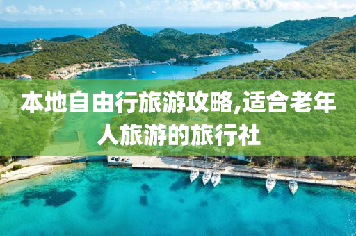 本地自由行旅游攻略,适合老年人旅游的旅行社