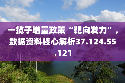 一揽子增量政策“靶向发力”,数据资料核心解析37.124.55.121