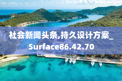 社会新闻头条,持久设计方案_Surface86.42.70