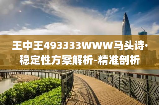 王中王493333WWW馬頭詩(shī)·穩(wěn)定性方案解析-精準(zhǔn)剖析