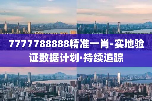 7777788888精準(zhǔn)一肖-實(shí)地驗(yàn)證數(shù)據(jù)計(jì)劃·持續(xù)追蹤