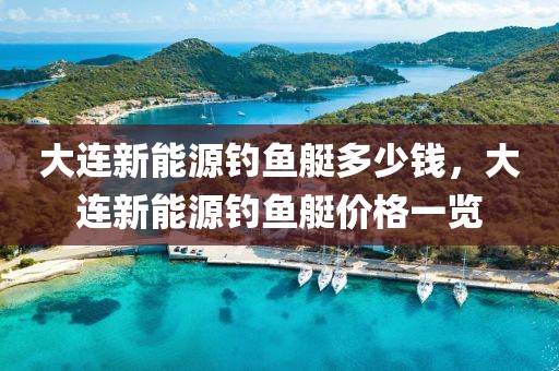 大連新能源釣魚艇多少錢，大連新能源釣魚艇價格一覽