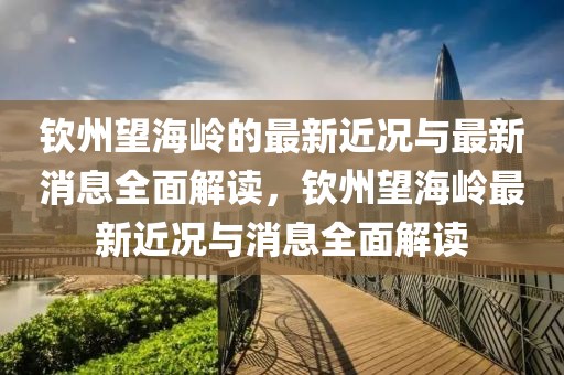 欽州望海嶺的最新近況與最新消息全面解讀，欽州望海嶺最新近況與消息全面解讀