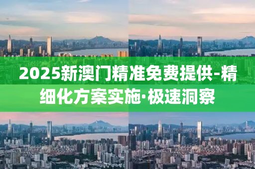 2025新澳門精準免費提供-精細化方案實施·極速洞察