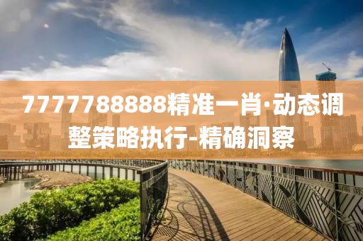 7777788888精準(zhǔn)一肖·動態(tài)調(diào)整策略執(zhí)行-精確洞察