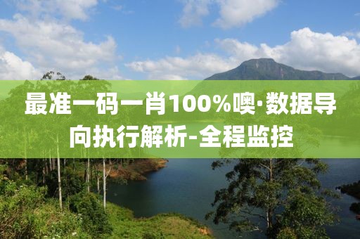 最準(zhǔn)一碼一肖100%噢·數(shù)據(jù)導(dǎo)向執(zhí)行解析-全程監(jiān)控