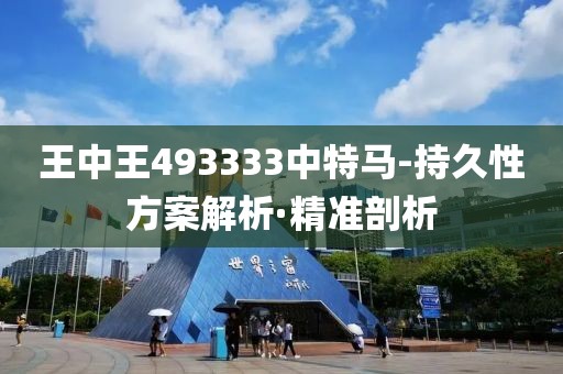 王中王493333中特馬-持久性方案解析·精準(zhǔn)剖析