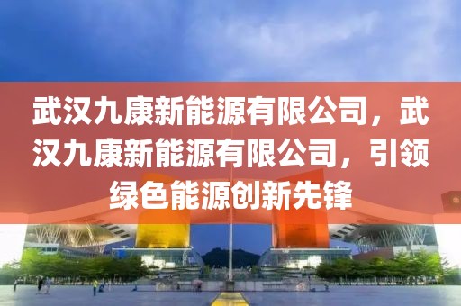 武漢九康新能源有限公司，武漢九康新能源有限公司，引領(lǐng)綠色能源創(chuàng)新先鋒