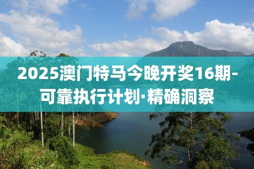 2025澳門特馬今晚開獎16期-可靠執(zhí)行計劃·精確洞察