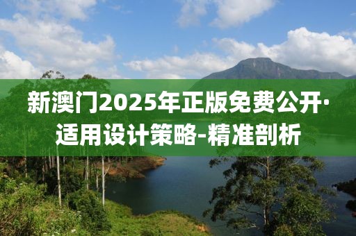 新澳門2025年正版免費(fèi)公開·適用設(shè)計(jì)策略-精準(zhǔn)剖析