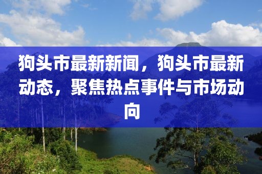 狗頭市最新新聞，狗頭市最新動態(tài)，聚焦熱點事件與市場動向