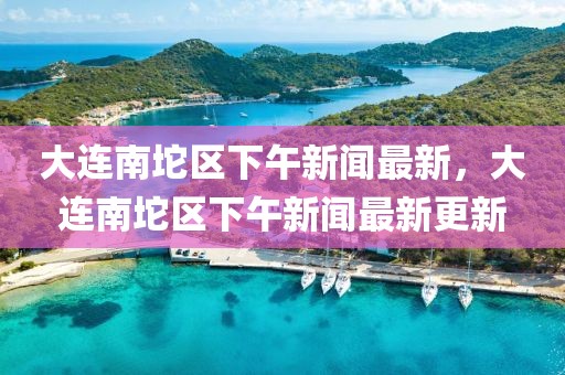 大連南坨區(qū)下午新聞最新，大連南坨區(qū)下午新聞最新更新