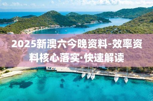 2025新澳六今晚資料-效率資料核心落實·快速解讀