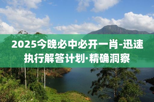 2025今晚必中必開一肖-迅速執(zhí)行解答計(jì)劃·精確洞察