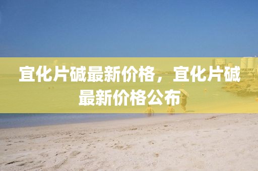 宜化片堿最新價格，宜化片堿最新價格公布