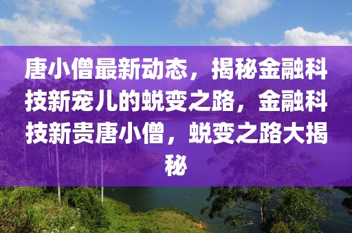 唐小僧最新動態(tài)，揭秘金融科技新寵兒的蛻變之路，金融科技新貴唐小僧，蛻變之路大揭秘