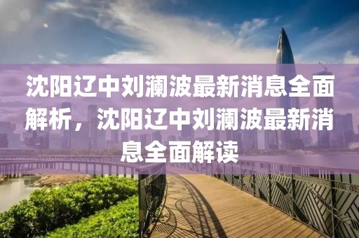 沈陽遼中劉瀾波最新消息全面解析，沈陽遼中劉瀾波最新消息全面解讀