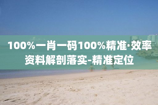 100%一肖一碼100%精準(zhǔn)·效率資料解剖落實(shí)-精準(zhǔn)定位