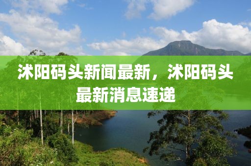 沭陽碼頭新聞最新，沭陽碼頭最新消息速遞