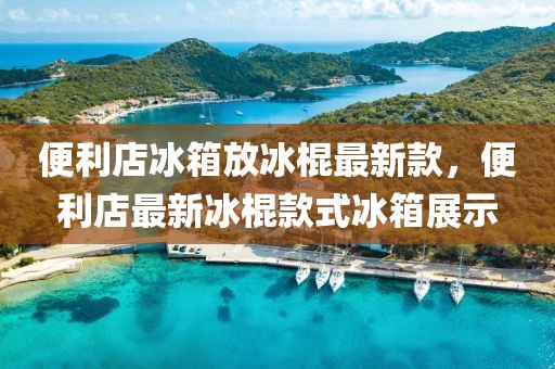 便利店冰箱放冰棍最新款，便利店最新冰棍款式冰箱展示